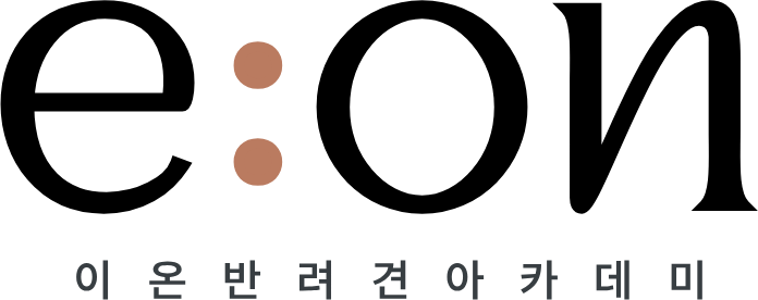 이온 반려견 아카데미